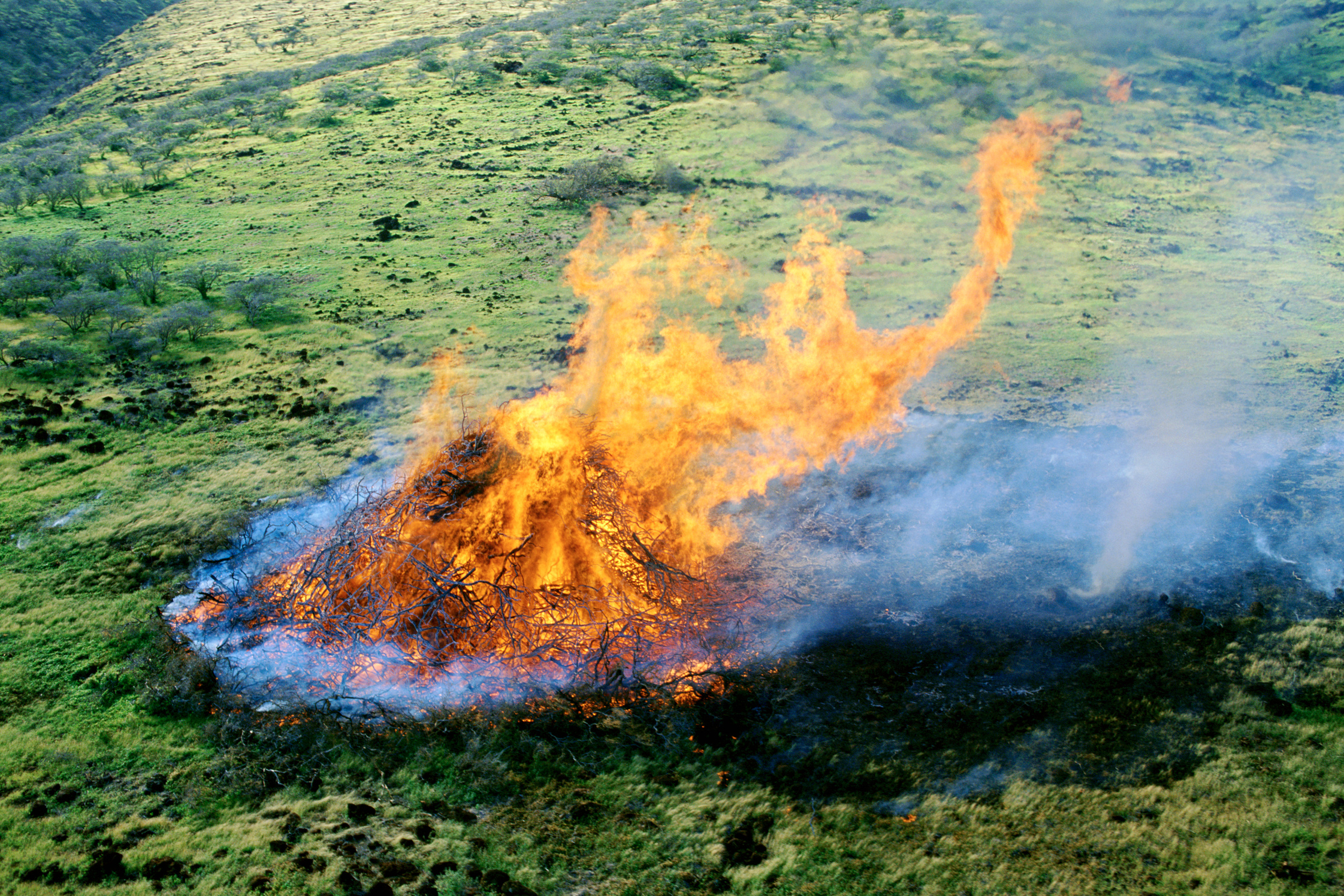 Aerial view of brush fire